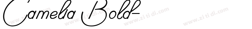 Camelia Bold字体转换 Camelia Bold字体转换